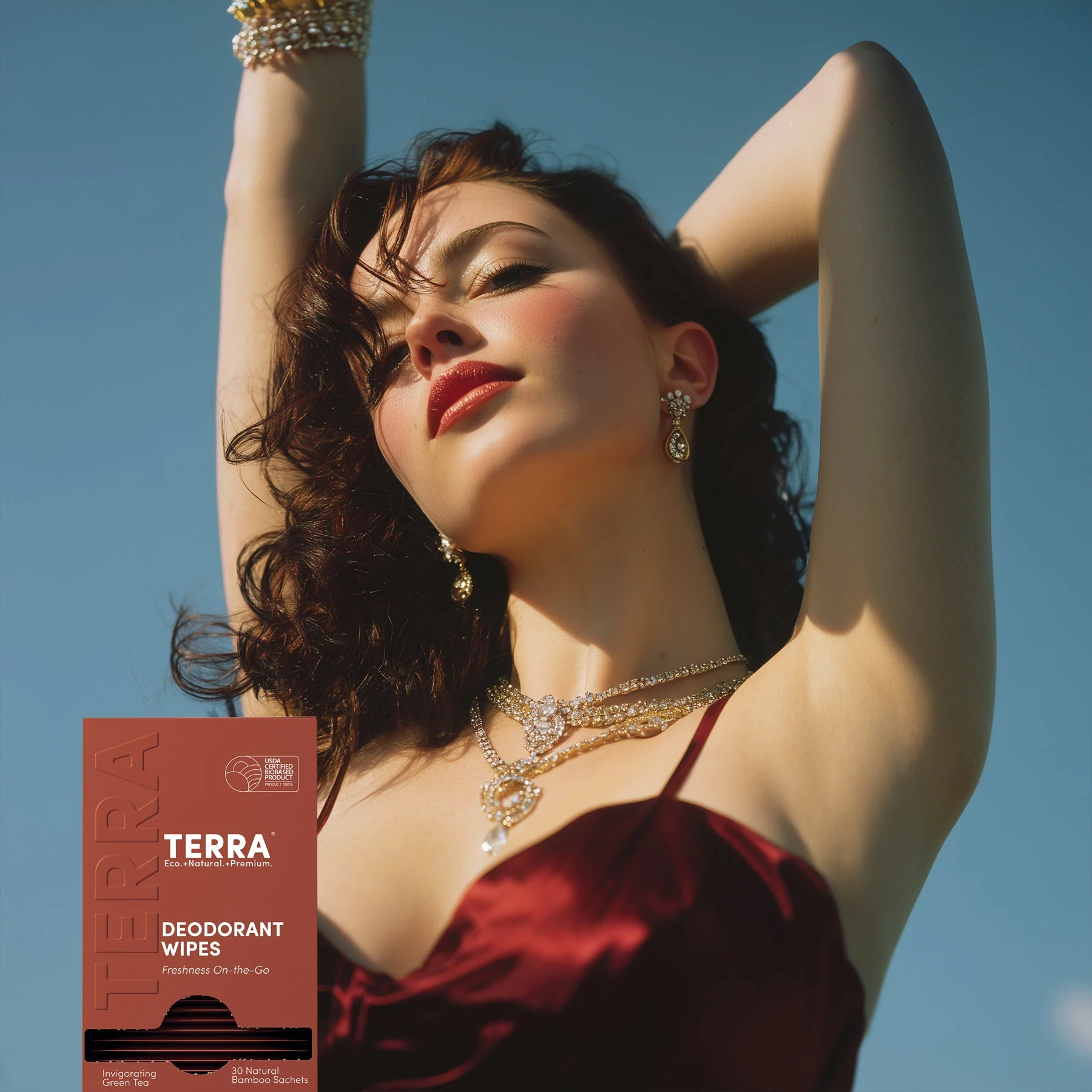 Terra Deodorant Wipes - Image 3