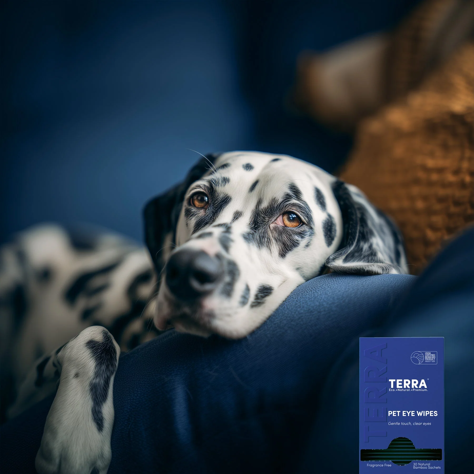 Terra Pet Eye Wipes - Image 5
